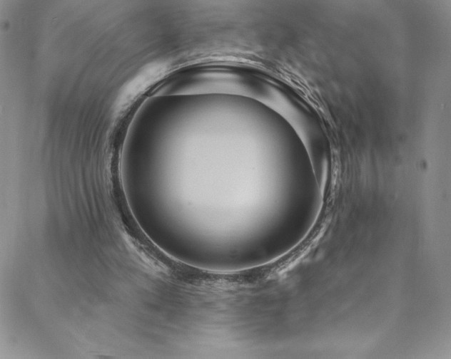 X0000088880197200706081249