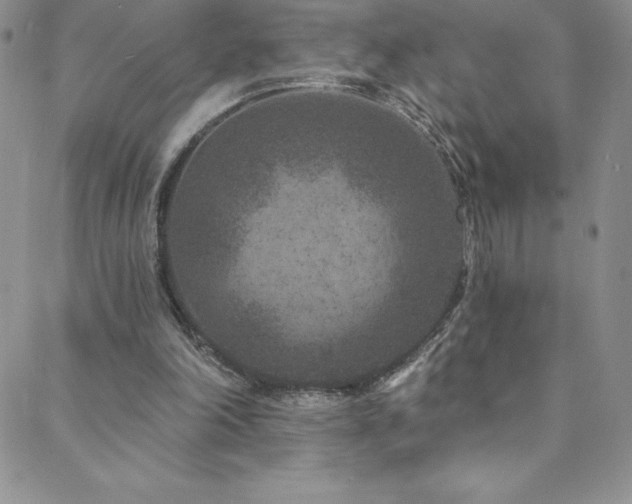 X0000088880198200706081249