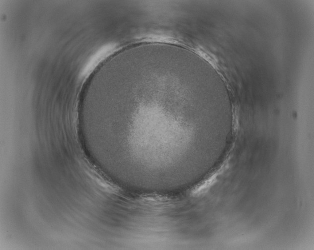 X0000088880199200706081249