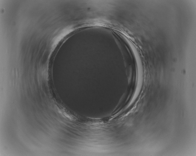 X0000088880200200706081249