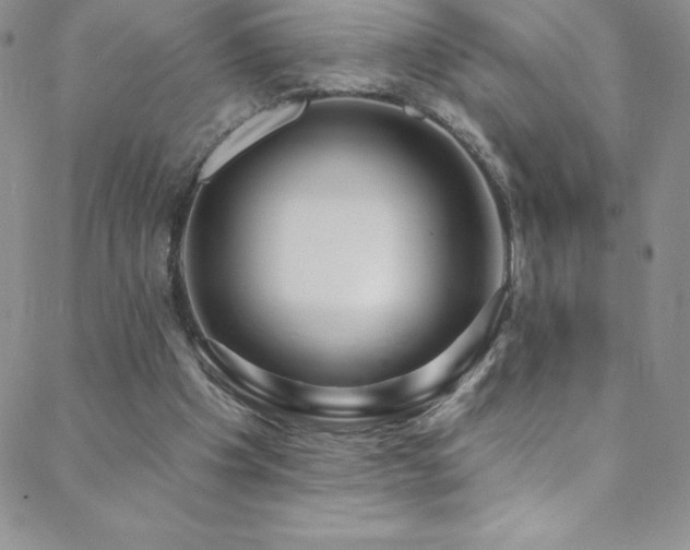 X0000088880201200706081249