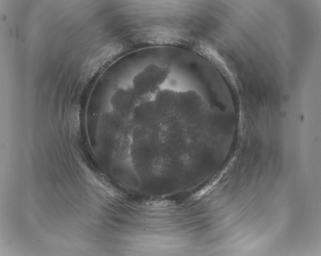 X0000088880202200706081249