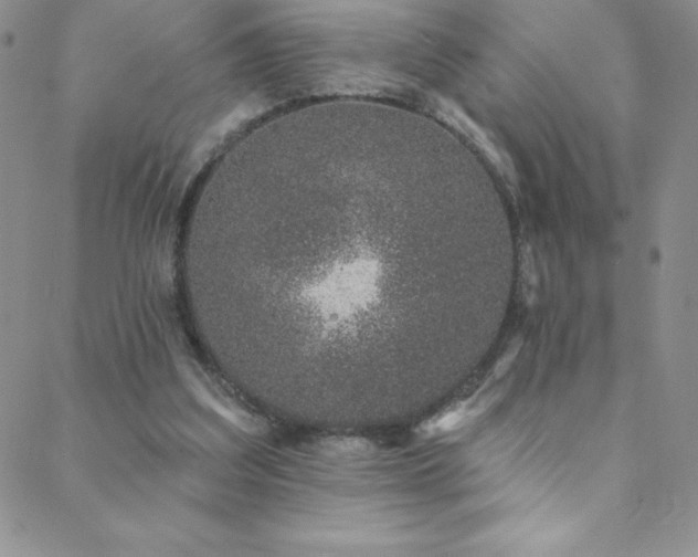 X0000088880203200706081249