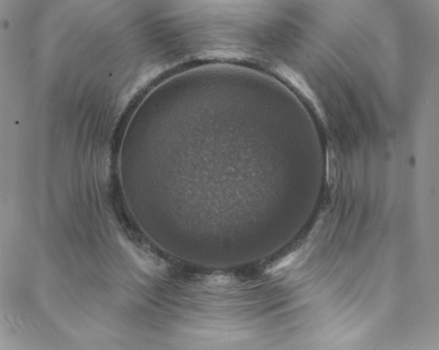 X0000088880204200706081249