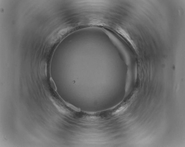 X0000088880205200706081249