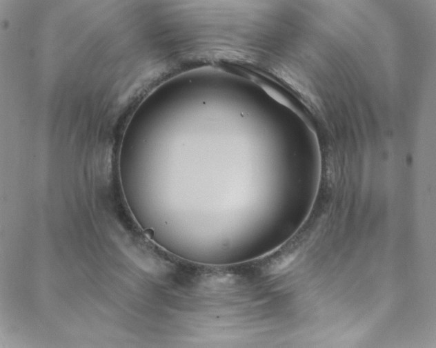 X0000088880206200706081249