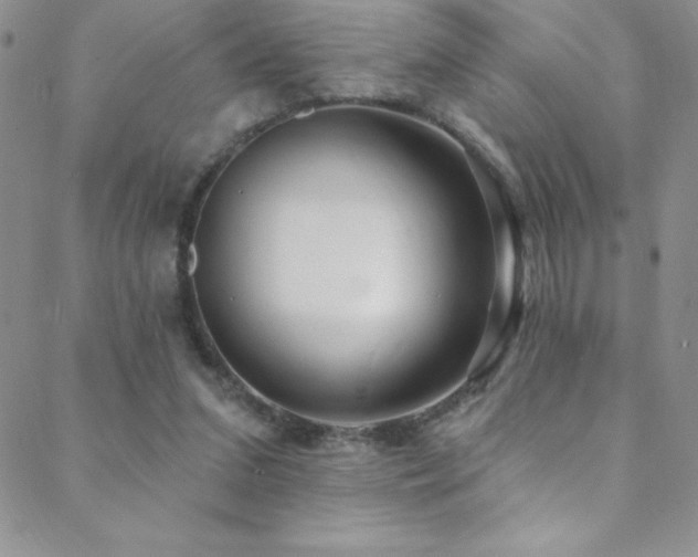 X0000088880207200706081249