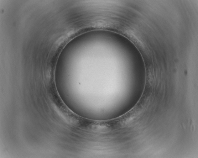 X0000088880208200706081249