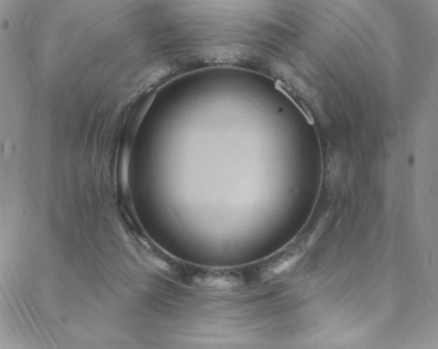 X0000088880209200706081249