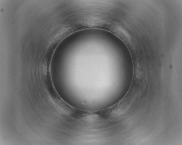 X0000088880210200706081249