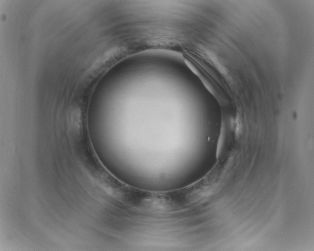 X0000088880211200706081249