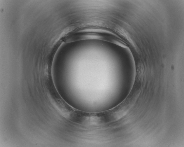 X0000088880212200706081249