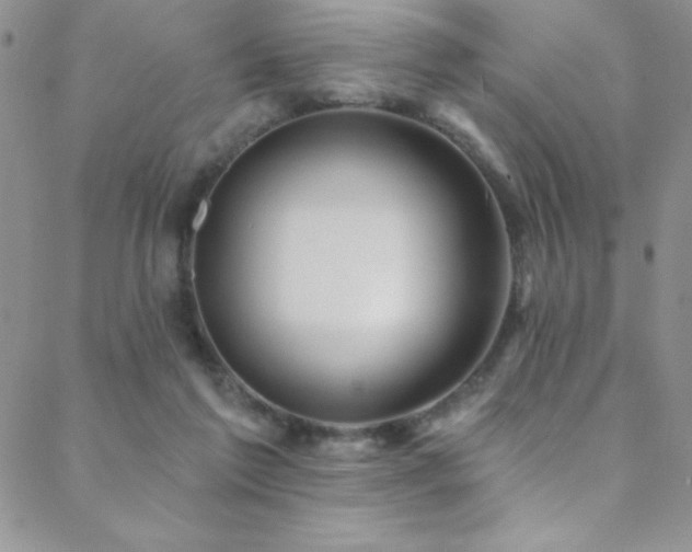 X0000088880213200706081249