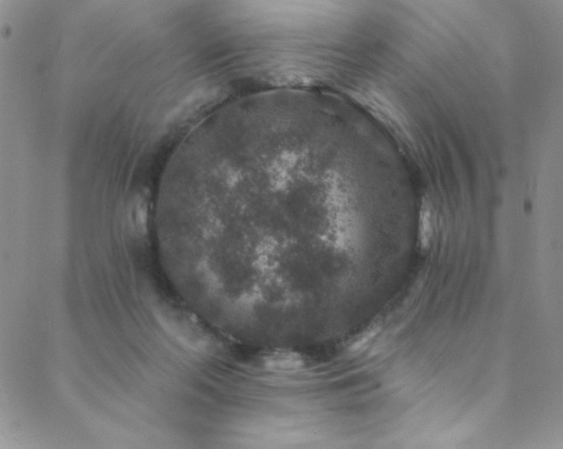 X0000088880214200706081249