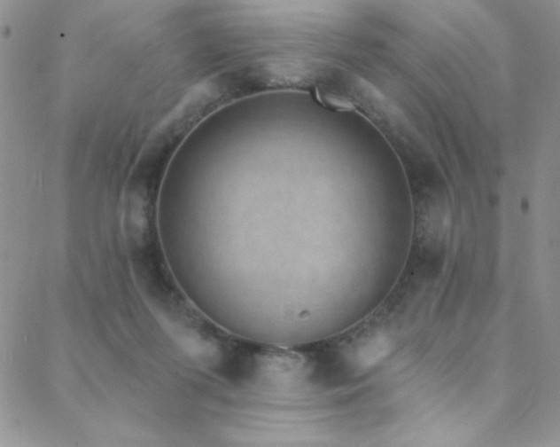 X0000088880215200706081249