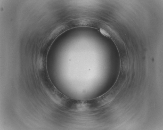 X0000088880216200706081249