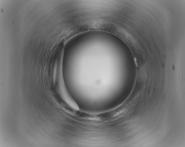 X0000088880217200706081249