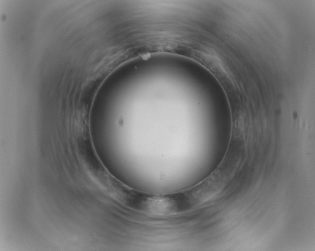 X0000088880218200706081249