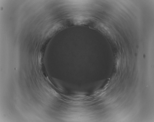 X0000088880219200706081249