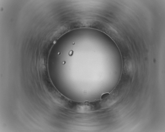 X0000088880220200706081249