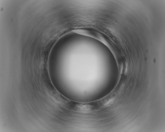 X0000088880221200706081249