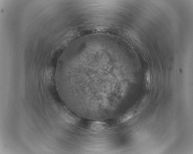 X0000088880222200706081249