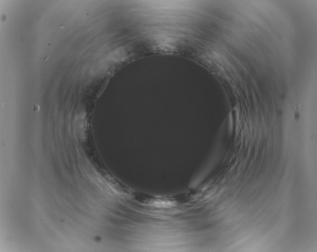 X0000088880223200706081249