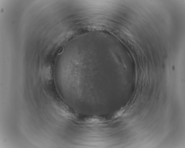 X0000088880224200706081249