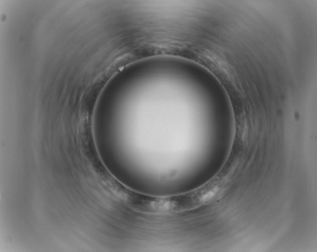 X0000088880225200706081249