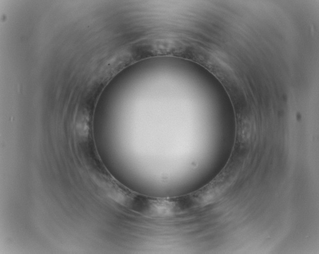 X0000088880226200706081249