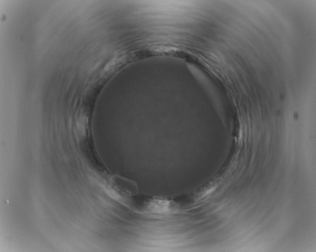 X0000088880227200706081249