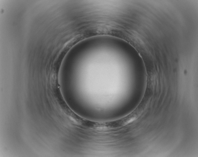 X0000088880228200706081249