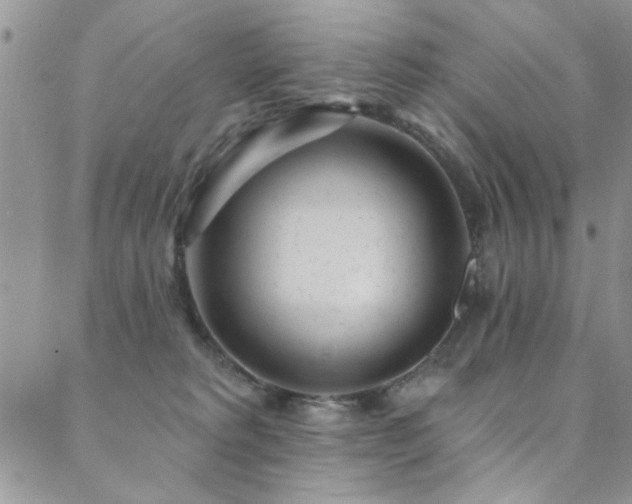 X0000088880229200706081249