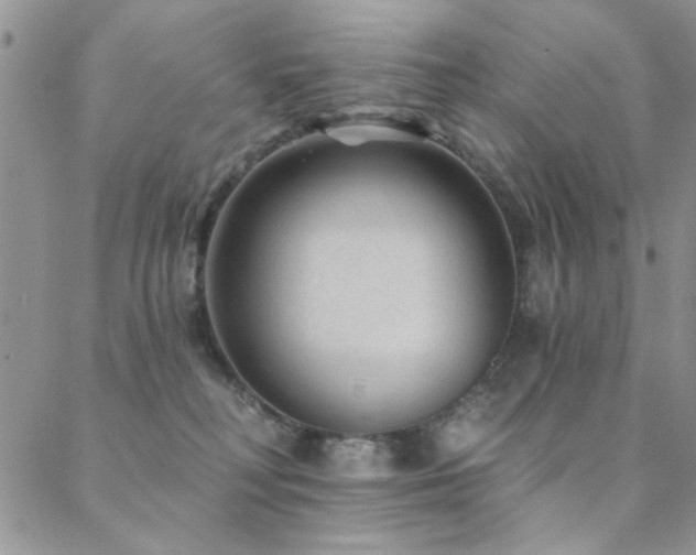 X0000088880230200706081249