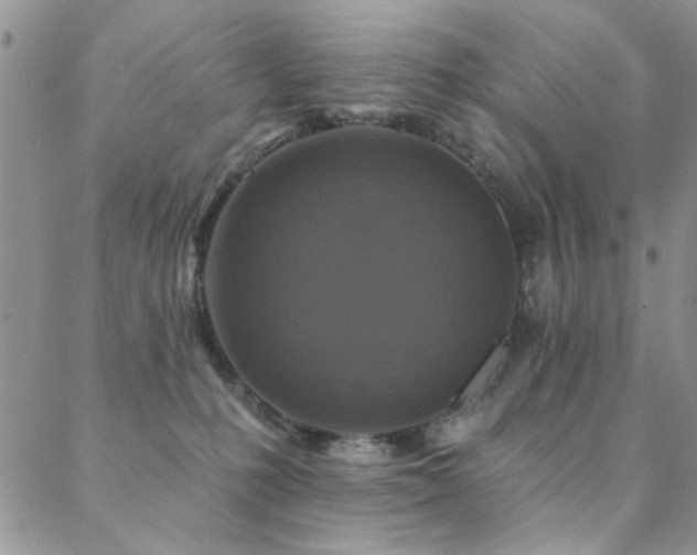 X0000088880231200706081249