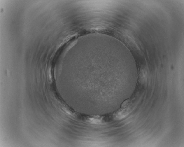 X0000088880232200706081249