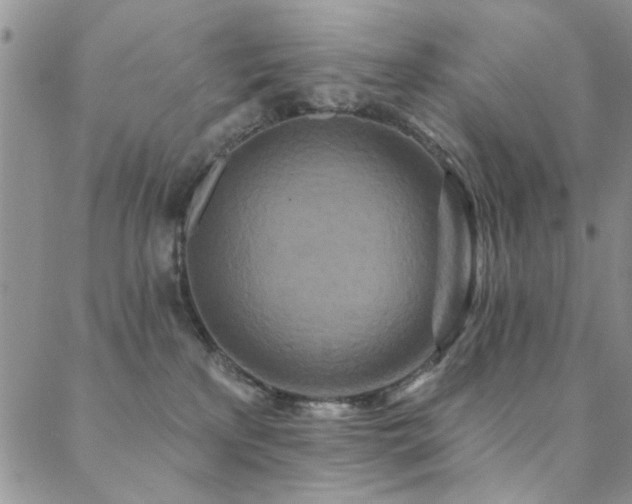 X0000088880233200706081249