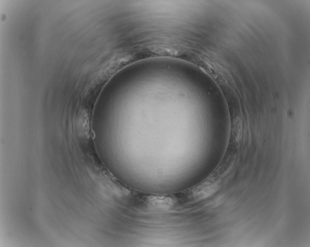 X0000088880234200706081249