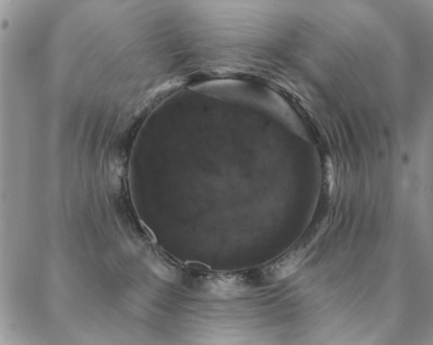 X0000088880235200706081249