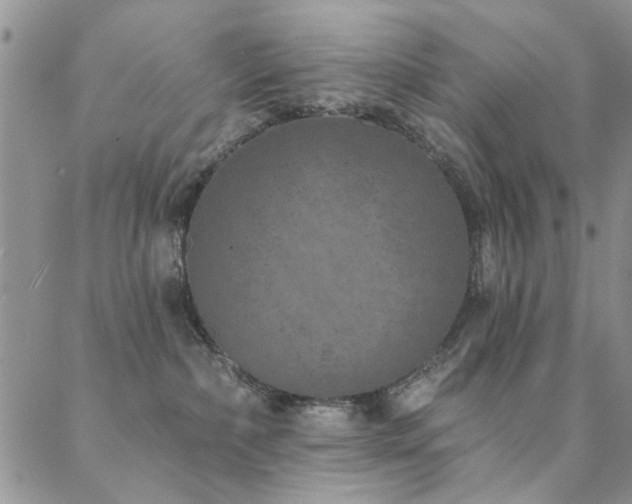 X0000088880236200706081249