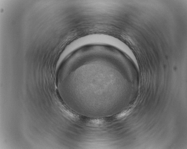 X0000088880237200706081249