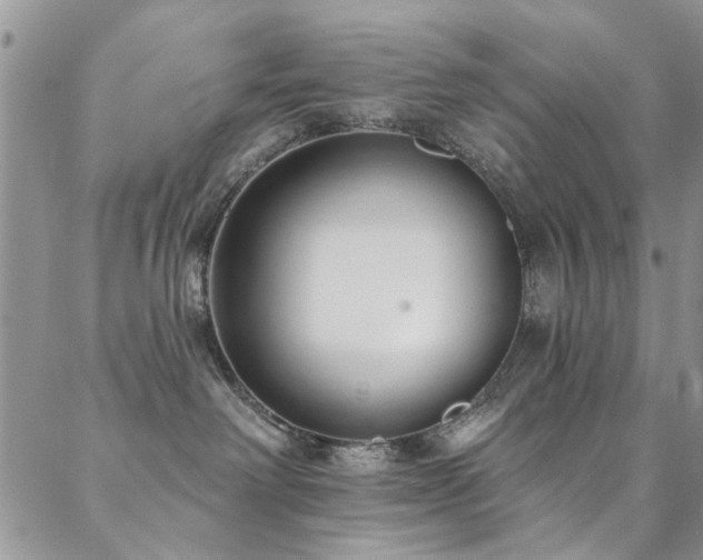 X0000088880238200706081249