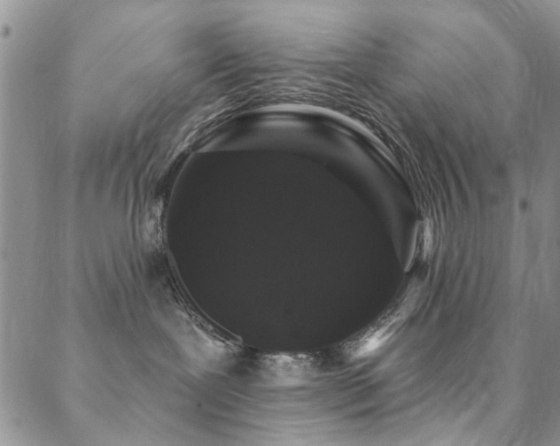 X0000088880239200706081249