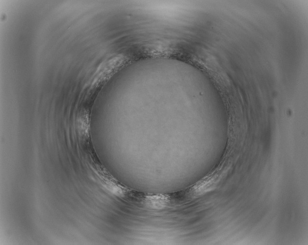 X0000088880240200706081249