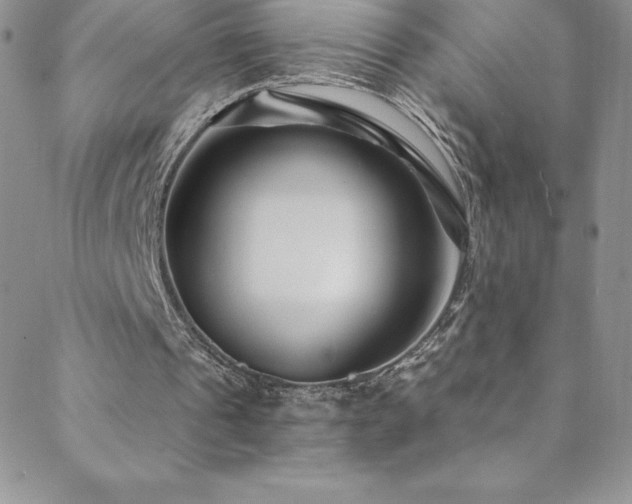 X0000088880241200706081248