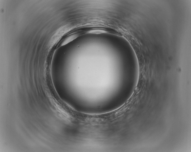 X0000088880242200706081248