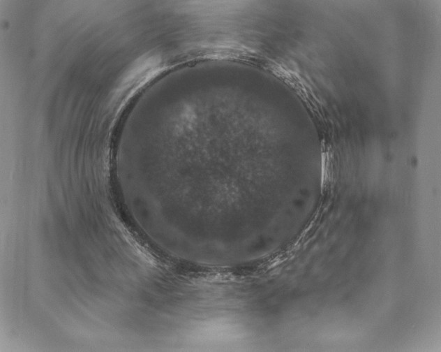 X0000088880243200706081248