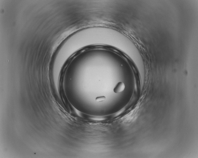 X0000088880244200706081248