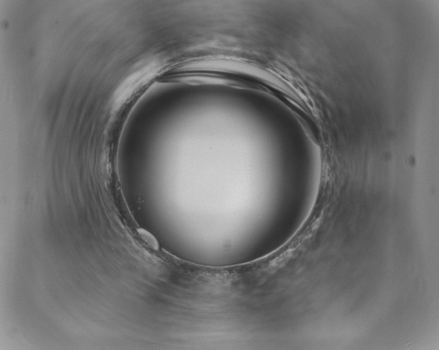 X0000088880245200706081248