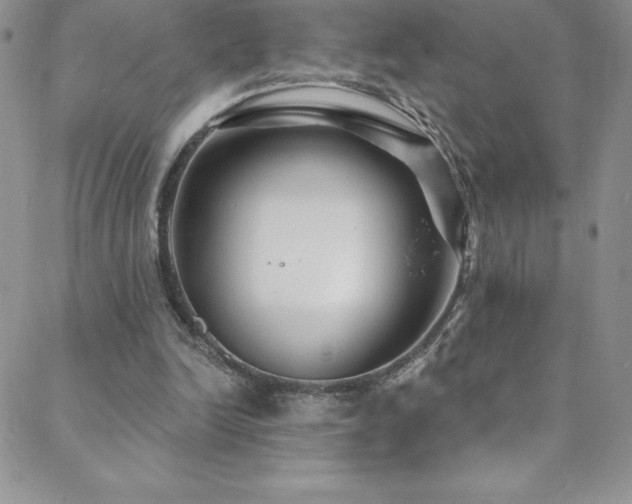 X0000088880246200706081248